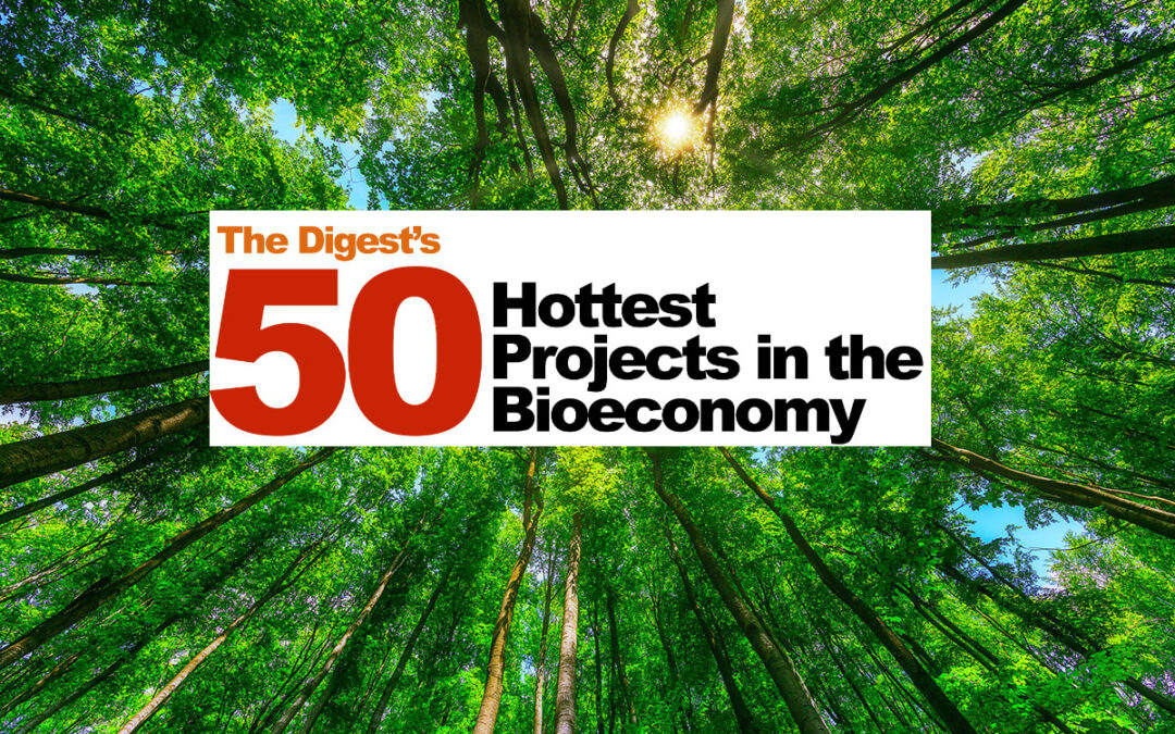 USA BioEnergy Voted #21 of the 50 Hottest Projects in the Advanced Bioeconomy by Biofuels Digest Readers and Our Amazing Supporters!